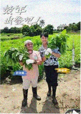 移动便携版图鉴